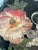 Vintage Floral Decoupage Pedestal Cake Stand / Serving Platter - 12" For Sale - Image 4 of 5