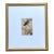 Vintage Botanical Insect Study in Gilt Frame For Sale