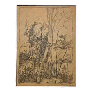 1920s Graphite on Paper Wooded Landscape by Artist Harold Haydon