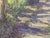 Jerry Greenberg "In Back of the Field" Contemporary Realistic Texas Nature Landscape Painting, 2005 For Sale - Image 9 of 10