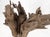 Wood Large Mid-Century Modern Abstract Driftwood Floating Suspended Sculpture For Sale - Image 7 of 12