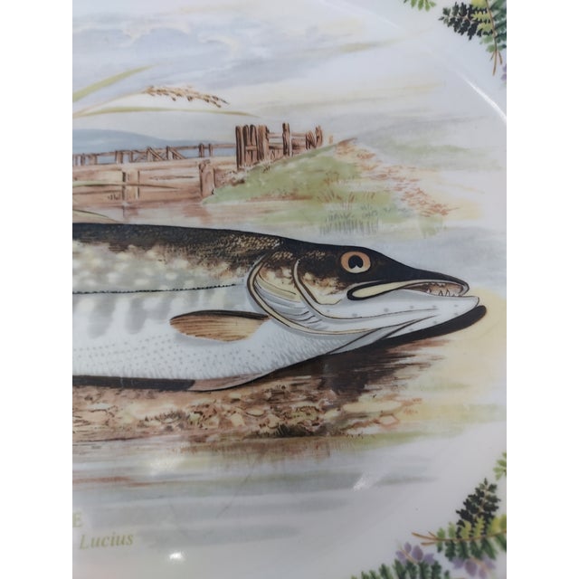 Late 20th Century Portmeirion Pottery Oval Platter Compleat Angler Series "Pike No. 7 Esox Lucius" Stoke on Trent England For Sale - Image 4 of 6