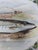 Late 20th Century Portmeirion Pottery Oval Platter Compleat Angler Series "Pike No. 7 Esox Lucius" Stoke on Trent England For Sale - Image 4 of 6