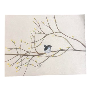 "The Bird Outside My Window" Original Colored Pencil Drawing by Nancy Smith For Sale