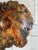 Striking Buckeye Burl Turned Wood Wall Sculpture For Sale In Atlanta - Image 6 of 12