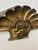 Antique Shell Wall Architectural Piece For Sale - Image 4 of 8