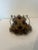 Antique Pierced Brass Jeweled Fairy Lamp Table Lamp on Ruffled Tray Catalog Reference U-348 For Sale - Image 4 of 11