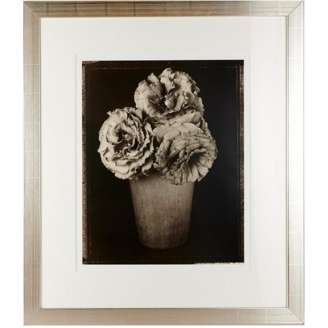 Tom Baril, Large Format Vintage Floral Black & White Silver Gelatin Photograph Tom Baril, 1997 For Sale In Miami - Image 6 of 12