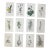 Authentic Antique Early 19th Century Hand Colored Copperplate Botanical Engravings - Set of 12 For Sale