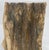 Beige Beige Black Petrified Wood Organic Stomp Shape Stand End Side Table Pedestal For Sale - Image 8 of 10