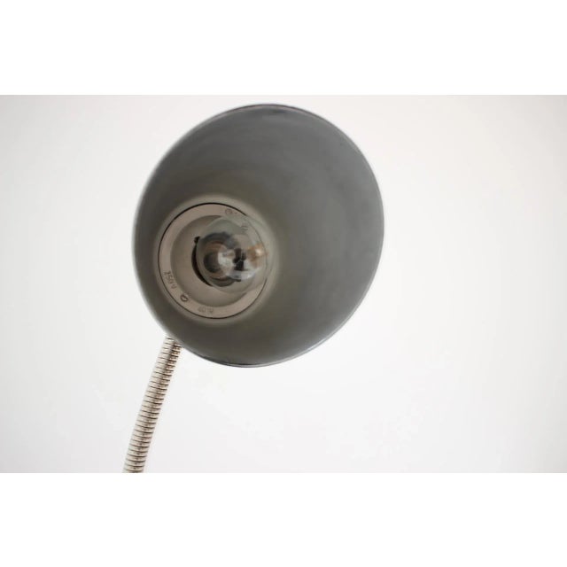 Vintage Bakelite Table Lamp, 1950s For Sale - Image 8 of 9