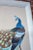 Japanese Showa Period Peacocks Painted on Silk For Sale - Image 4 of 10