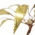 Copper Palm Tree on Rock Sculpture by Daniel Dhaeseleer, 1970s For Sale - Image 11 of 16