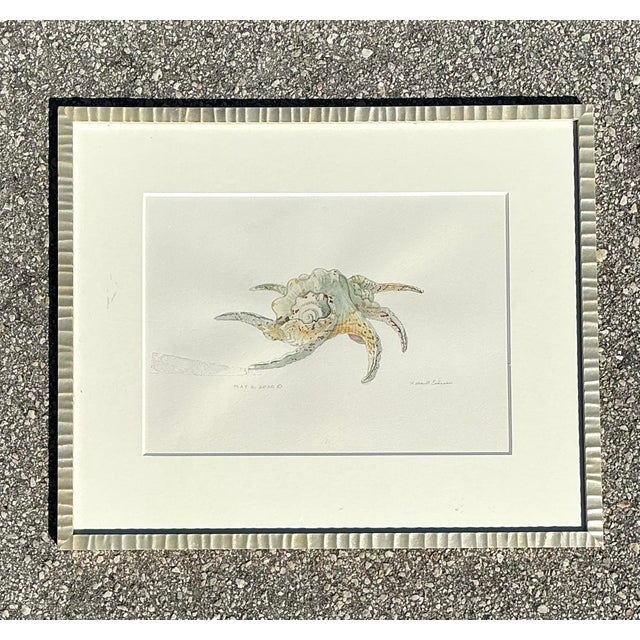 This exquisite original watercolor painting captures the intricate and organic beauty of a seashell with a delicate,...