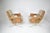 1970s French Lounge Chairs Attributed to Raphaël Raffel for Apelbaum, 1970s For Sale - Image 5 of 13