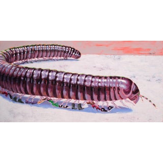 Try Walking in Someone Else's Shoes by Tracy Wall | Oil Painting of a large centipede on a surface For Sale
