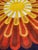 Textile Vintage French Hand-Knotted Cogolin Round Rug, 1960s For Sale - Image 7 of 18