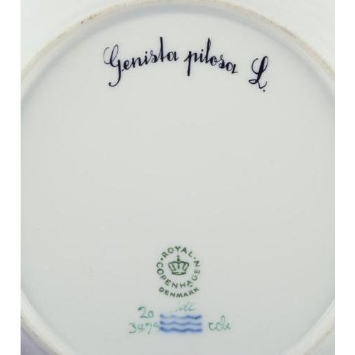 1960s Flora Danica Plate in Hand-Painted Porcelain with Flowers from Royal Copenhagen, 1968 For Sale - Image 5 of 8