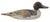 Antique Rustic Primitive Farmhouse Carved Duck Decoy For Sale In Los Angeles - Image 6 of 6