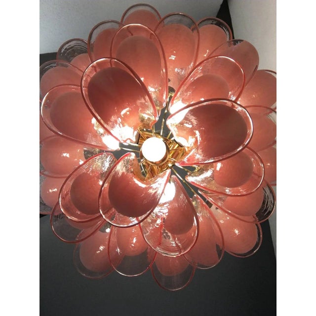 Metal Italian Murano Glass Sella Pink with Gold Metal Frame Chandelier For Sale - Image 7 of 13