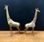 Pair of Vintage MCM Hollywood Regency Brass Giraffes 18 Inches High For Sale - Image 4 of 6