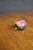 Traditional Art Glass Rose Paperweight For Sale - Image 3 of 6
