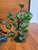 Mid-Century Modern Pair of Blown Glass Murano Fruit Trees For Sale - Image 3 of 12