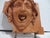 Mid 20th Century Puck Face Building Terra Cotta Tile For Sale - Image 5 of 11