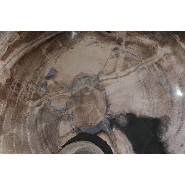 Early 21st Century Freestanding Petrified Wood Water Basin by Xyleia Petrified Wood For Sale - Image 5 of 8