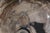 Early 21st Century Freestanding Petrified Wood Water Basin by Xyleia Petrified Wood For Sale - Image 5 of 8