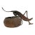 Antique Arts & Crafts Copper Figural Grasshopper Cigar Cutter Ashtray 1900-1915 For Sale