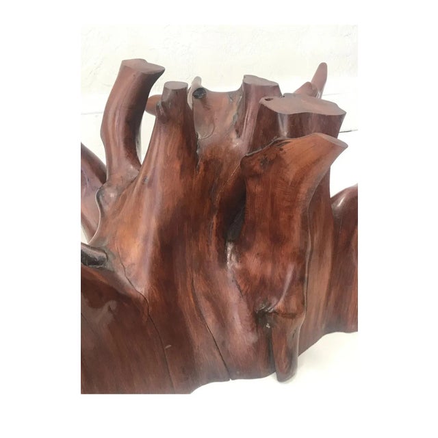 Wood Mid Century Spanish Walnut Root Glass Top Coffee Table For Sale - Image 7 of 15