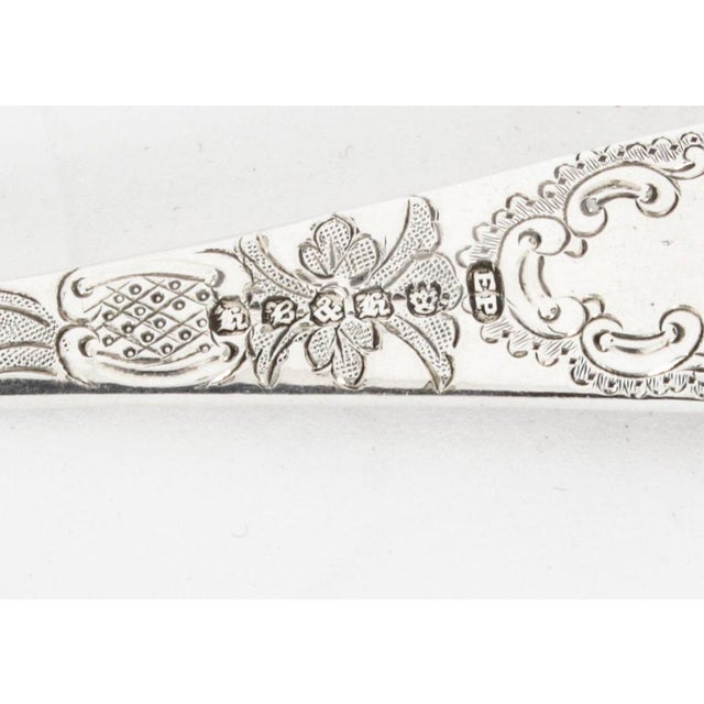 19th Century Boxed Fruit Spoons, Nutcrackers, Grape Scissors from Hukin & Heath, Set of 10 For Sale - Image 14 of 18