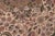 Medallion Heritage 1990's Pak-Persian Beige/Gold Wool Rug - 8'0'' X 10'2'' For Sale - Image 4 of 9