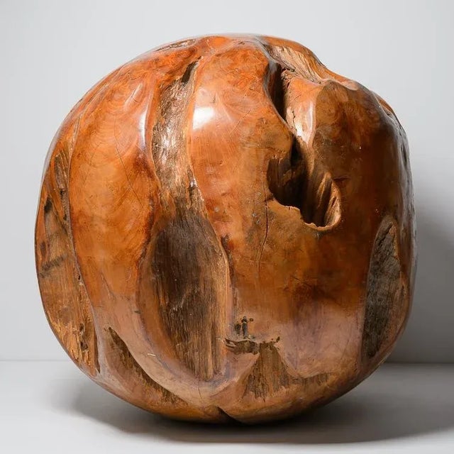 Rare Burl Wood Massive Polished Sphere Sculpture, 21" For Sale - Image 9 of 12