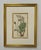 Set of 9 Original 1842 Curtis Botanical Prints in Ornate Gold-Leaf Gesso Matting – Framed For Sale - Image 12 of 15