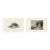 1840s, Trout and Perch Fish Prints, Pair, Original Antique Engravings, England For Sale