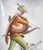 Ceramic Robin Hood Umbrella Stand from C.I.A. Manna, 1950s For Sale - Image 4 of 18