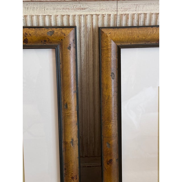 Pair of Italian Parrot Prints For Sale - Image 11 of 12