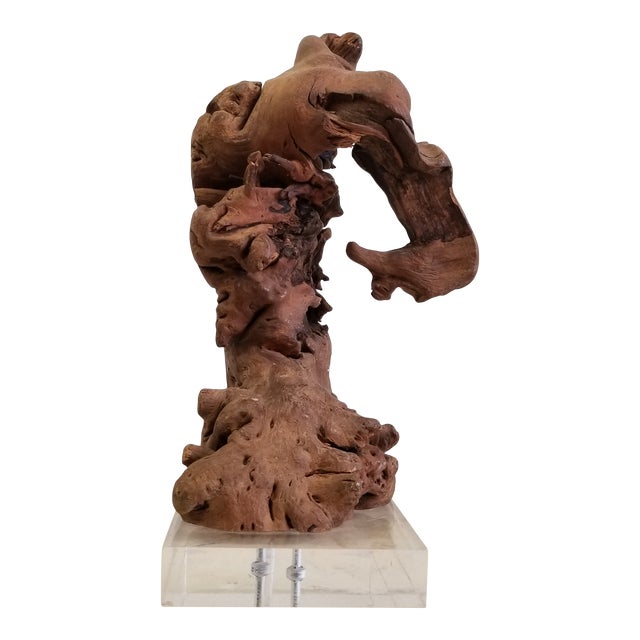 Vintage Burl Wood Root Sculpture on Lucite Base – Organic Modern Decor Object For Sale