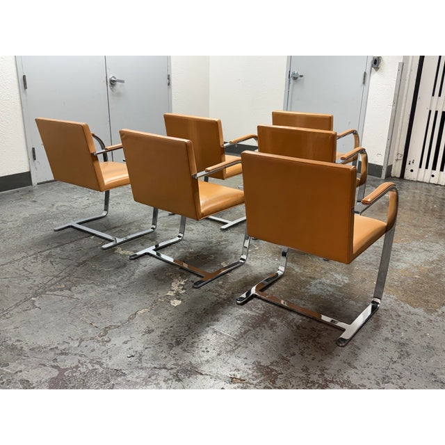 2000 - 2009 Ludwig Mies Van Der Rohe for Knoll Brno Armchairs, Set of Six For Sale - Image 5 of 12