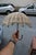 Bamboo and Brass Umbrella-Shaped Wall Lamp, Italy, 1950s For Sale - Image 6 of 10