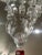 Fostoria Set of 5 Fostoria Willowmere Etched Low Goblets - Footed Tumblers For Sale - Image 4 of 12
