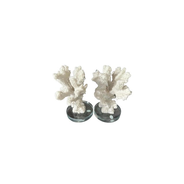 Set of Two Faux White Coral Vintage Sculptures Decor Pieces on Clear Plexiglass For Sale - Image 4 of 8