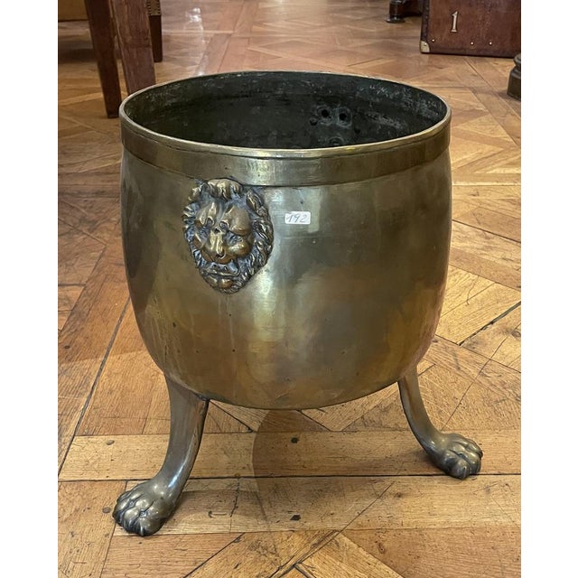 Metal 19th Century English Coal Bucket in Brass For Sale - Image 7 of 7