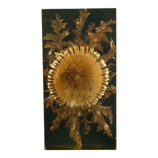 The Preserved Bloom: Mid C Thistle & Leaves in Lucite by Pierre Giraudon, 11.5"H For Sale