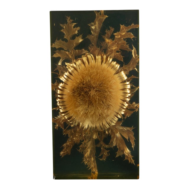 The Preserved Bloom: Mid C Thistle & Leaves in Lucite by Pierre Giraudon, 11.5"H For Sale