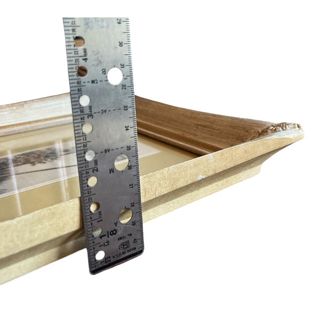 Pair of 1940s Old Florida Black & White Photographs in White Washed Pickled Gilt Frames and Ochre Mat – Palms & Oak-Canopied River For Sale - Image 10 of 11