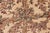 Bohemein Basan Pak-Persian Beige/Green Wool Rug - 10'0'' X 14'4'' For Sale In New York - Image 6 of 8