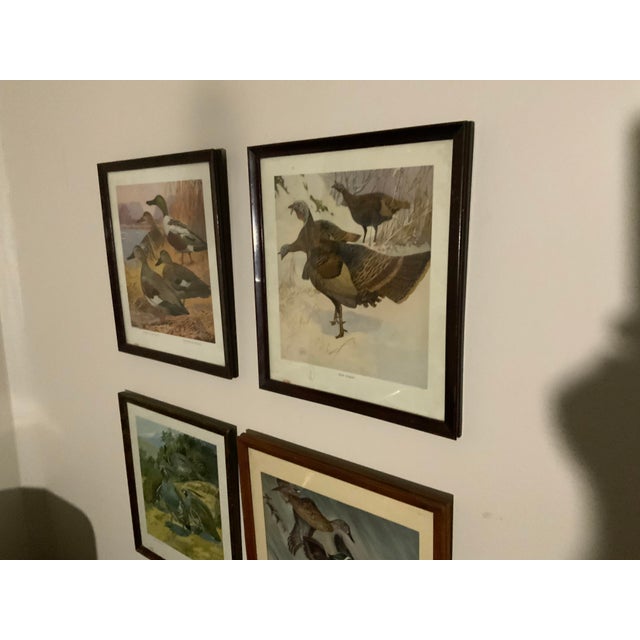1917 Vintage DuPont Promotional Game Bird Framed Prints by Hunt & DeFeo - Set of 4 For Sale - Image 4 of 13